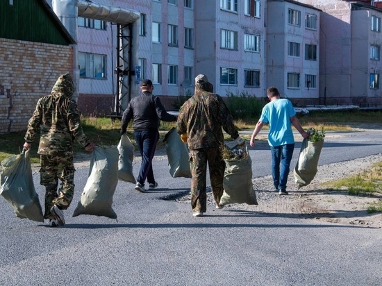 60 кубометров мусора вывезли с улиц, берега реки и из леса Надымского района