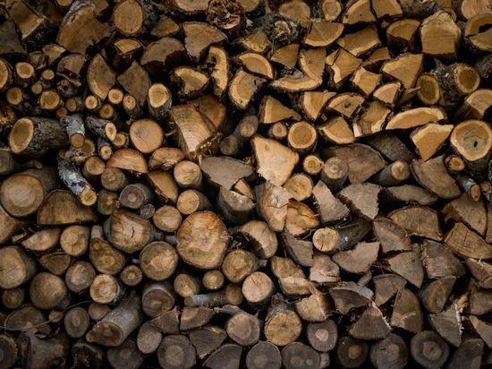 Volkskrant: в Нидерландах жители скупают дрова из-за подорожания газа