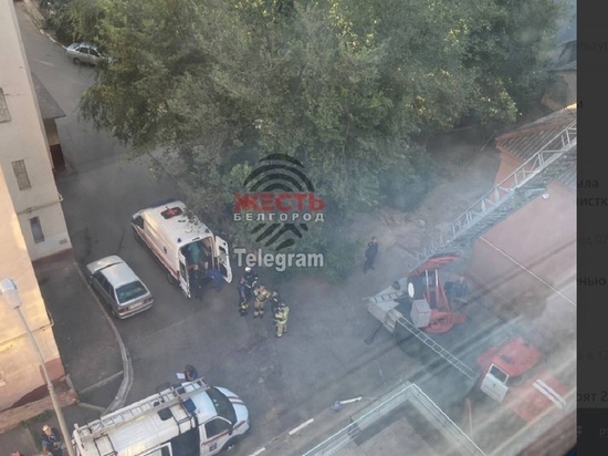В Белгороде женщина выпала из окна восмьмого этажа и осталась жива