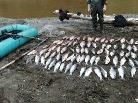 Пятерых браконьеров с уловом горбуши почти на 340 тыс. рублей поймали на Сахалине