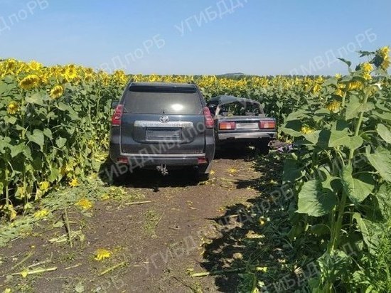 За день в Башкирии аварии унесли жизни двух женщин