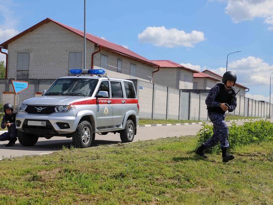 За сутки в Рязанской области росгвардейцы задержали двух пьяных водителей