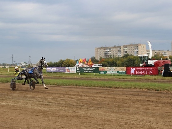 На Барнаульском ипподроме пройдет Кубок губернатора Алтайского края