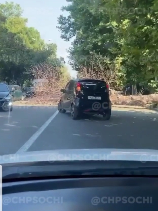 В Адлерском районе Сочи на трассу рухнуло дерево