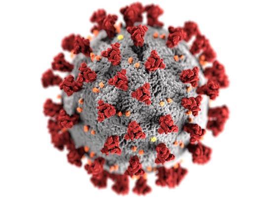 В Тульской области за сутки коронавирусом заболел 121 человек