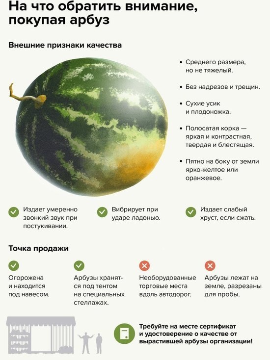 Сезон продаж бахчевых в Серпухове официально открыт