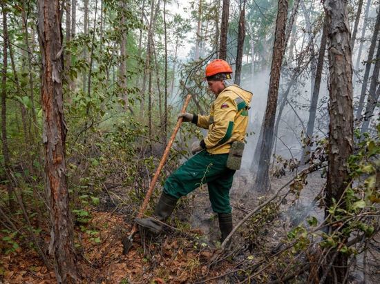 В лесах России за сутки потушили 55 пожаров