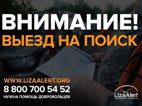 В Курской области объявлен поиск пропавшего 30 июля 38-летнего грибника