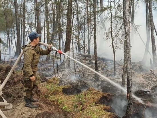 В Якутии за сутки ликвидировано 9 лесных пожаров