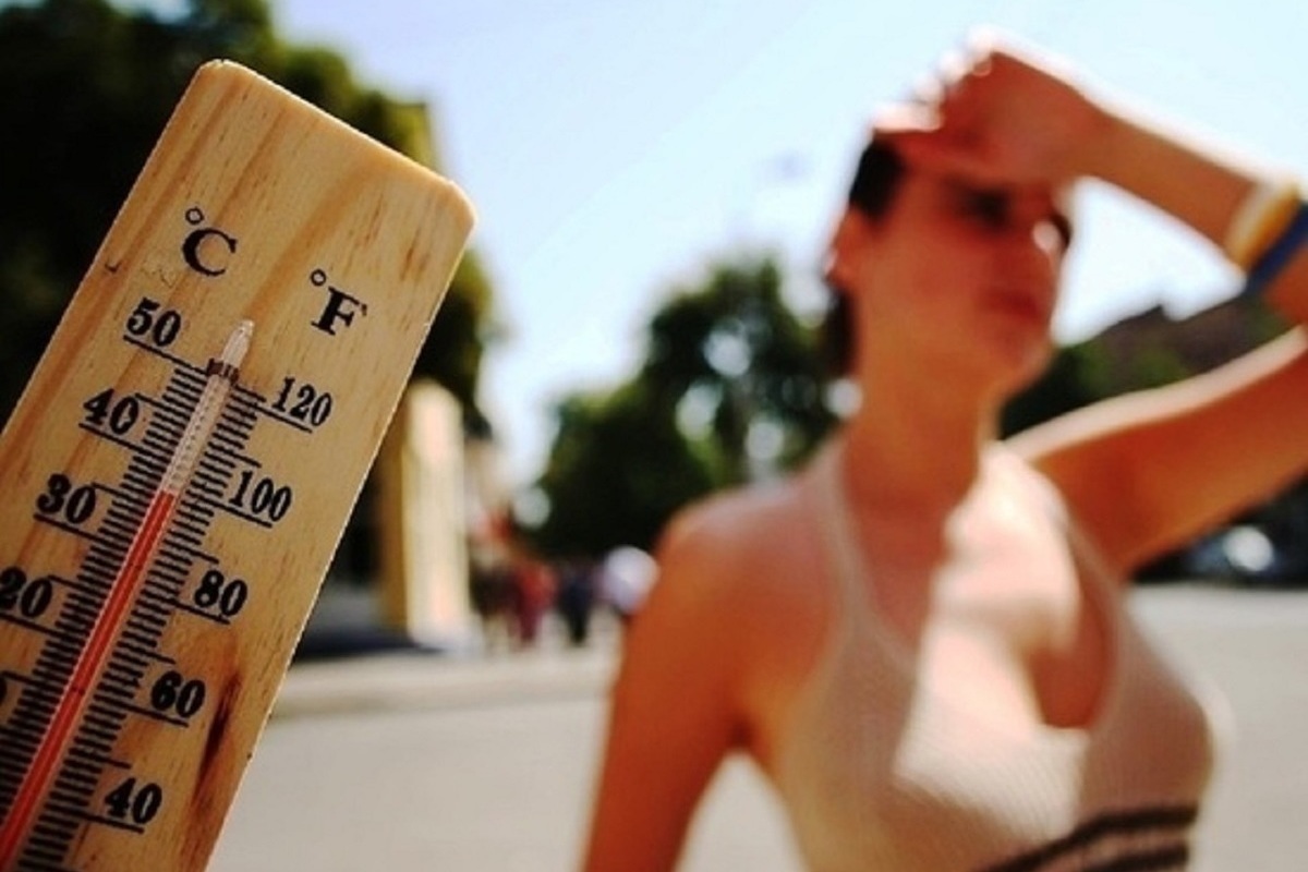 В Костромскую область возвращается тропическая жара