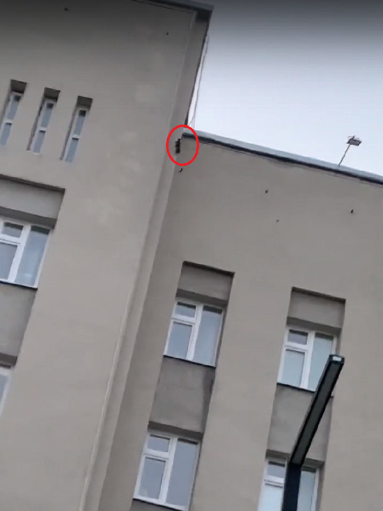 «Без очереди на прием»: на крышу администрации Ноябрьска вскарабкалась белка