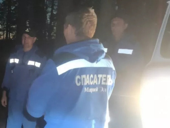 В Звениговском районе спасатели нашли заблудившихся грибников