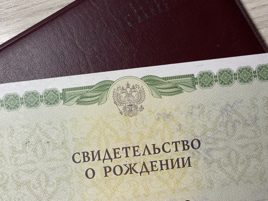 Как оформить свидетельство о рождении ребенка онлайн