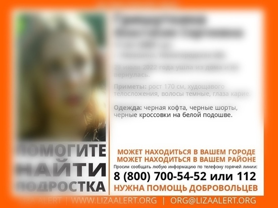 Пропавших в Нижегородской области подростков нашли в Рязани