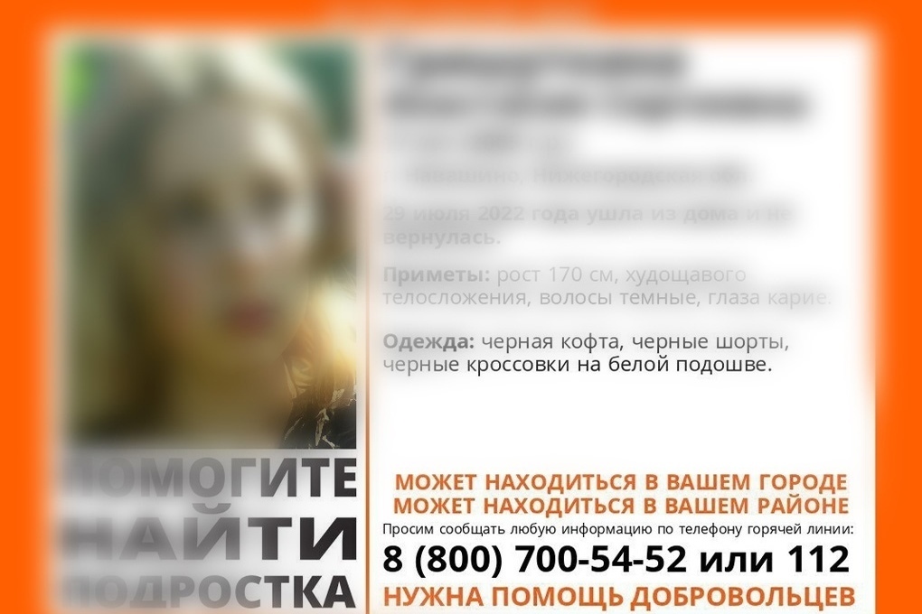Фото людей по поиску через лиза Пропавших в Нижегородской области подростков нашли в Рязани - МК Рязань