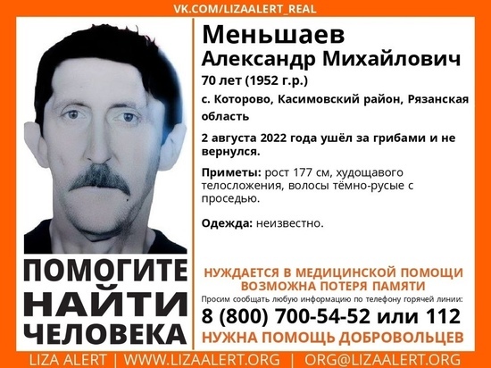 В Касимовском районе Рязанской области пропал 70-летний грибник