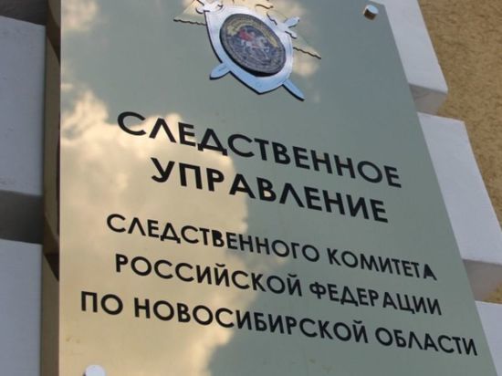 В Новосибирске арестовали женщину за 14 ударов шилом в грудь ребенка