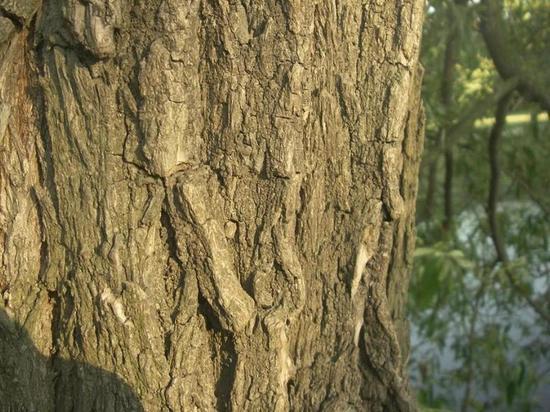 В Молдавии нашли, чем заменить российский газ   