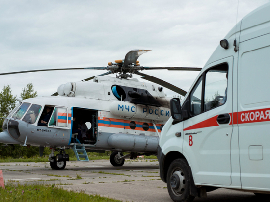 В ЕАО появятся семь площадок для вертолетов санавиации