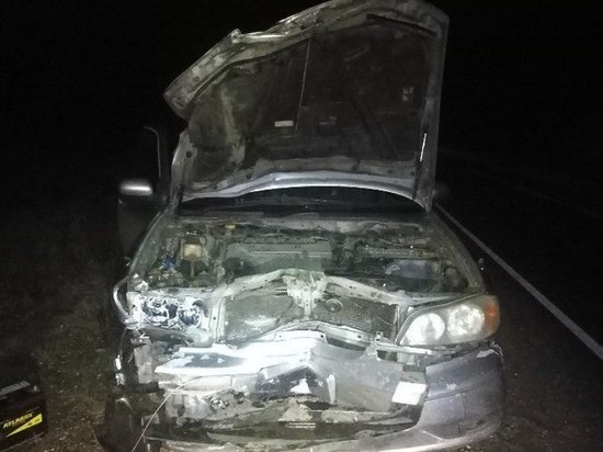 В Красноярском крае в результате ДТП с мотоблоком погибли мальчик и женщина