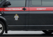 В городе Железногорске Красноярского края возбуждено уголовное дело после обнаружения в местном парке тела 16-летней девушки со следами насильственной смерти