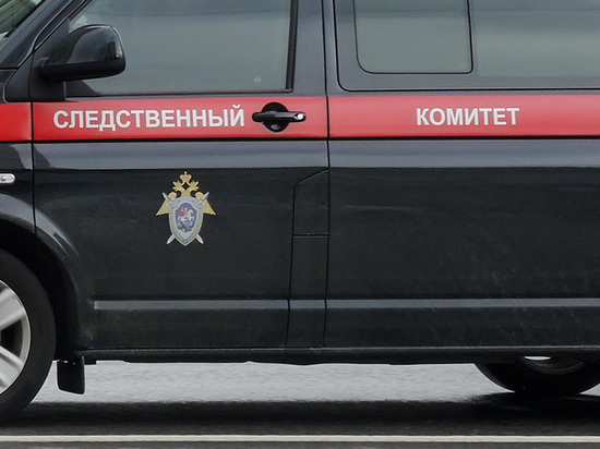 Пропавшую 16-летнюю россиянку нашли убитой в парке