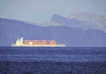 Летние цены на сжиженный природный газ (СПГ) в азиатском регионе взлетели почти в десять раз из-за опасений жесткой конкуренции за данный вид топлива в ближайшие годы