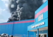 Стало известно о жертве пожара на складе Ozon в Подмосковье