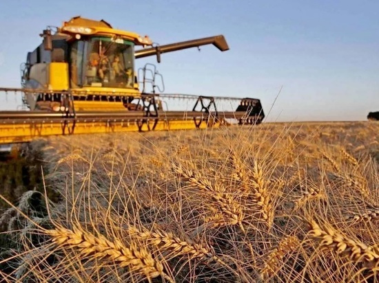 Костромские сельхозпредприятия начали убирать урожай зерновых