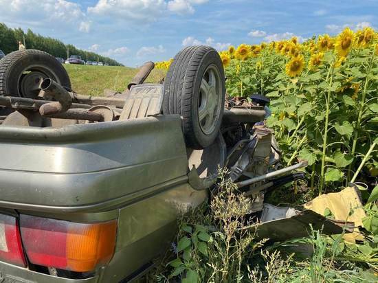 Стали известны подробности смертельной аварии в Шемышейском районе Пензенской области
