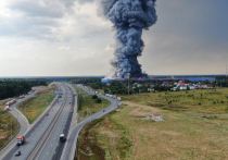 Стали известны подробности о пострадавших при пожаре на складе «Озон» вблизи деревни Петровское Истринского городского округа