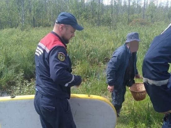Спасатели помогли мужчине выбраться из болота около поселка Ульяновка