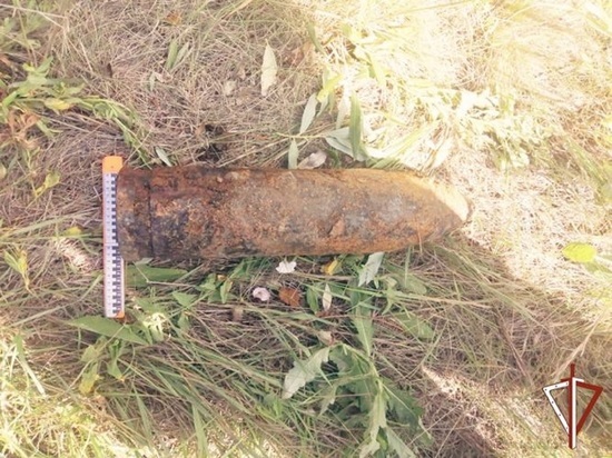 Два снаряда времен Гражданской войны нашли в Курганской области