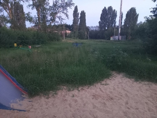 После жалоб жителей в соцсетях навели порядок на детских площадках в Токаревском и Сосновском районах