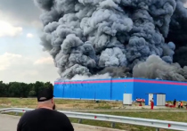 Губернатор Московской области Андрей Воробьев заявил, что здание склада интернет-площадки Ozon, в котором утром 3 августа начался пожар, уже не удастся сохранить