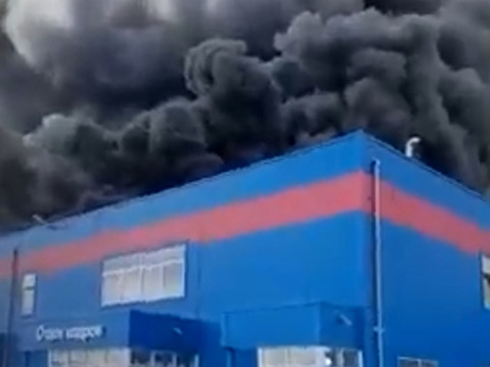 При пожаре на подмосковном складе Ozon сгорели «миллионы тонн» товара