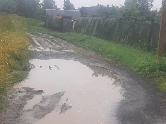 В Карелии жители деревни выиграли суд по непроезжей дороге
