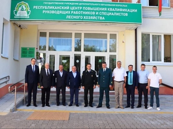 Тамбовские лесники прошли стажировку в Беларуси