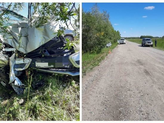 Водитель LADA XRay погиб после столкновения с деревом в Новосибирской области