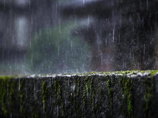 Жителям Сахалина пообещали дождь и 21 градус тепла 5 августа