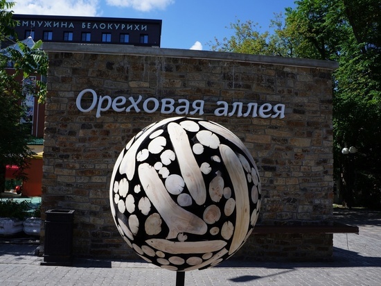 Необычный арт-объект появился в Белокурихе