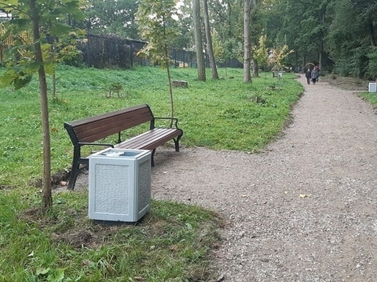 Жителей Калининграда просят поделиться мнением о парках города
