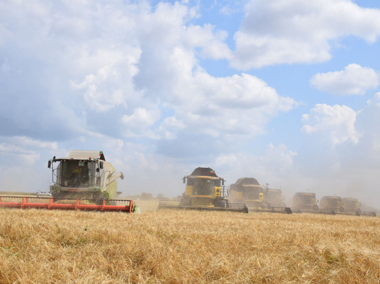 В Минераловодском округе Ставрополья завершили уборку зернобобовых