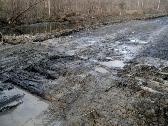 Через год подъезд к маленькой деревушке должен быть восстановлен