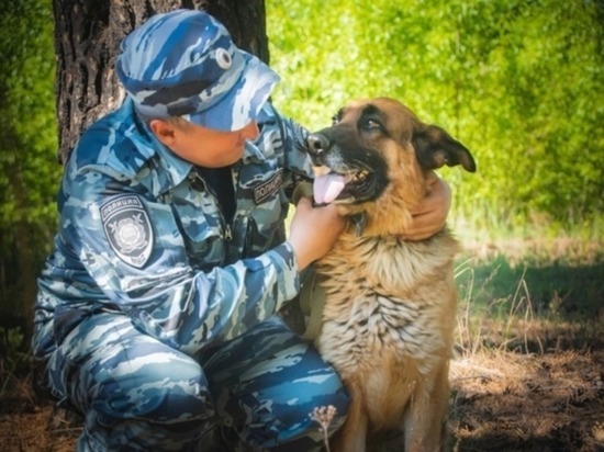 Полицейский пёс Ерошка помог задержать грабителя в Чите