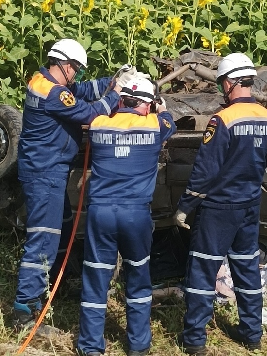В Пензенской области спасатели вытащили из автомобиля тела погибших в ДТП