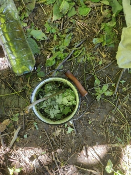 В Ивановской области полицейские задержали наркомана, варившего зелье из мака