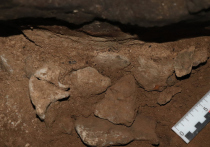 Пещерную инсталляцию из зубов и костей древних животных предположительно относящуюся к ледниковому периоду, впервые обнаружили историки МГУ им