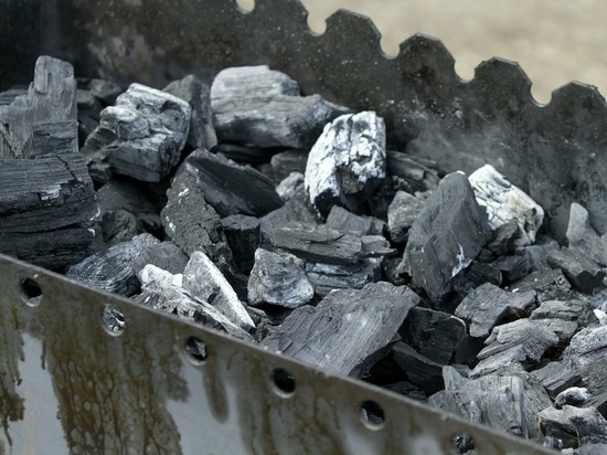 Власти Швеции разрешили разгрузку российского угля в обход санкций