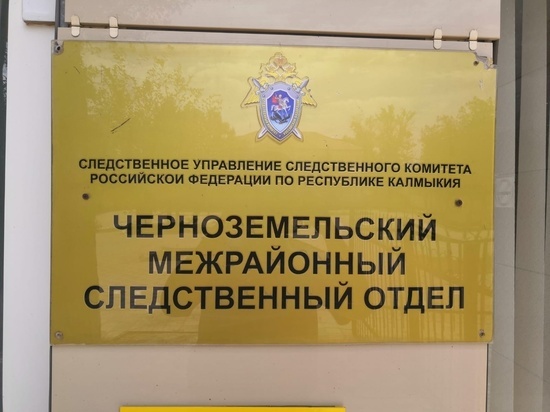 Бывшего главу калмыцкого села подозревают в растрате